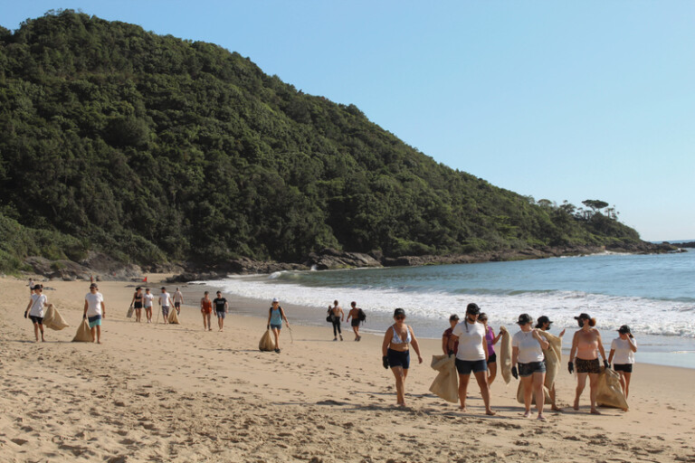 Mindse7 C&A e Reorder promovem ação de limpeza na Praia do Buraco, em Itajaí / SC