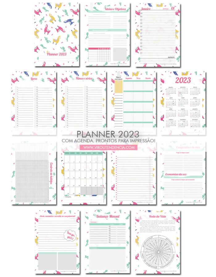 Planner Agenda 2024 - Lhamas