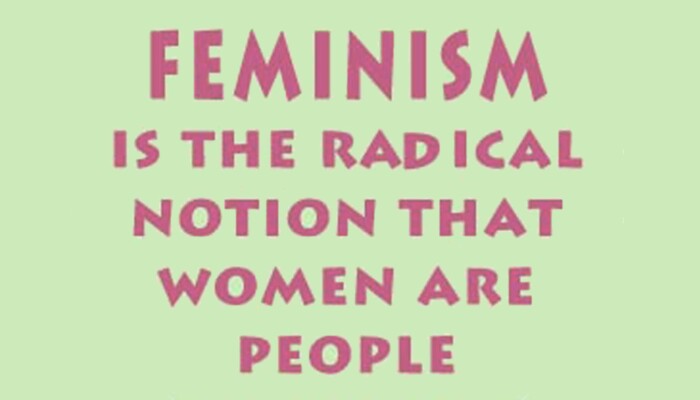 Feminismo Definicao