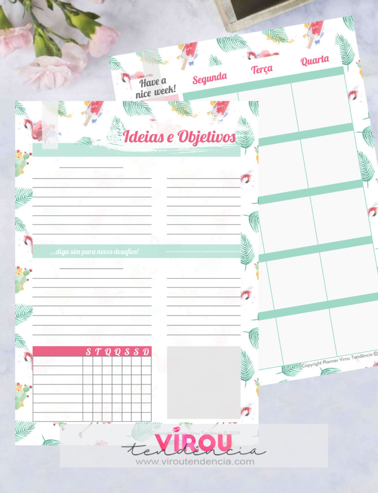 Planner 2019 para Imprimir - planner completo para download para ajudar no planejamento, organização no dia a dia para atingir seus objetivos em 2019.